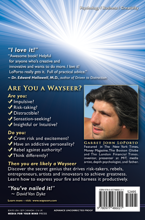 Wayseer Manifesto back cover